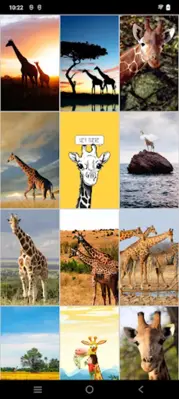 Giraffe Wallpapers android App screenshot 1